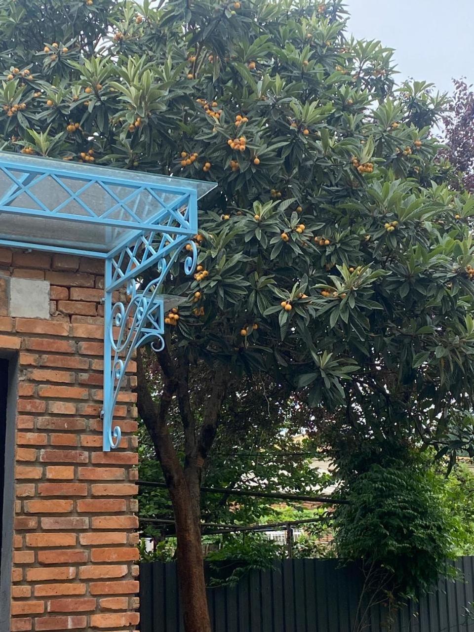 Hotel Varla Κουτάισι Εξωτερικό φωτογραφία