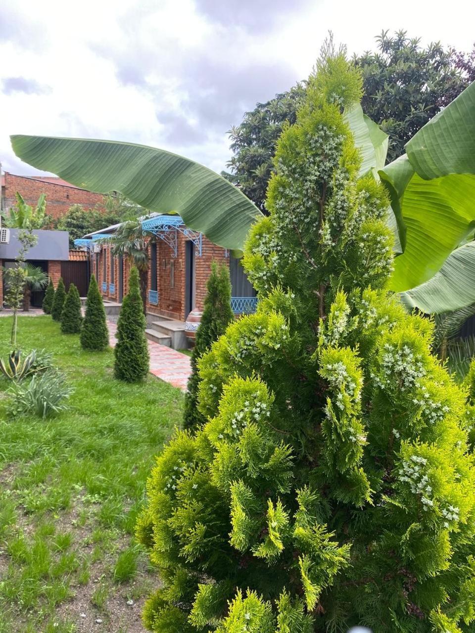 Hotel Varla Κουτάισι Εξωτερικό φωτογραφία